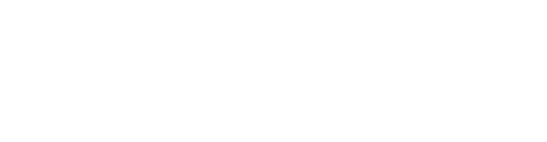 Bruhn NewTech logo